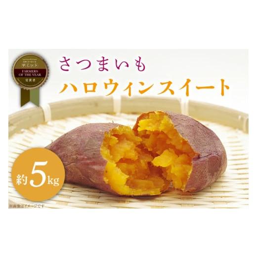 ふるさと納税 野菜類 サツマイモ 茨城県 行方市 2025年11月より順次発送 2025年度産 さつまいも ハロウィンスイート 約5kg|さつまいも 芋 お芋 ハロウィンス…