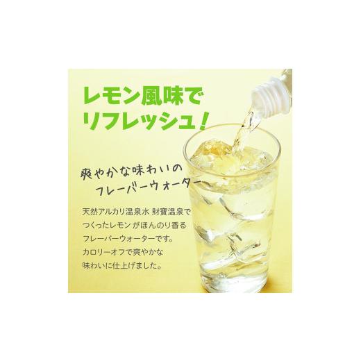 ふるさと納税 果汁飲料 鹿児島県 垂水市 E5-2262／ 6回定期 財寶温泉 レモン水 500ml×24本_2