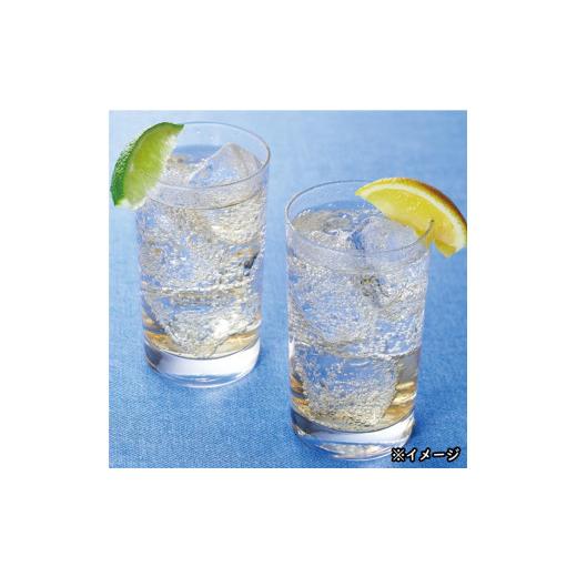ふるさと納税 果汁飲料 鹿児島県 垂水市 E5-2262／ 6回定期 財寶温泉 レモン水 500ml×24本_5