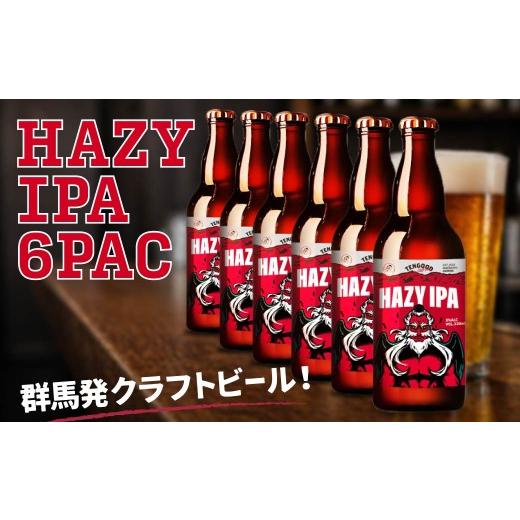 ふるさと納税 ビール 地ビール 群馬県 前橋市 クラフトビール HAZY IPA