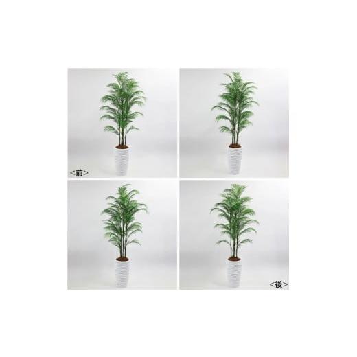 ふるさと納税 雑貨・日用品 インテリア 三重県 名張市 アートフラワー エミリオ・ロバ パーム4L TUTTA14850の画像
