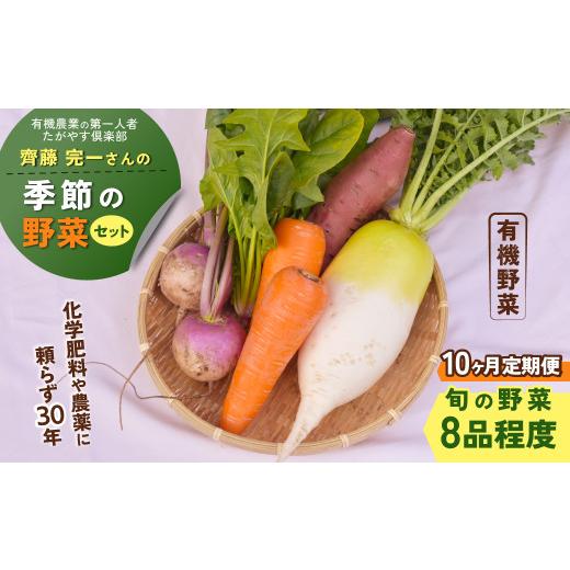 ふるさと納税 セット・詰合せ 千葉県 山武市  10か月定期便 有機農業の第一人者 たがやす倶楽部 齊藤 完一さんの「季節の野菜セット」　ふるさと納税 野菜 や…_1