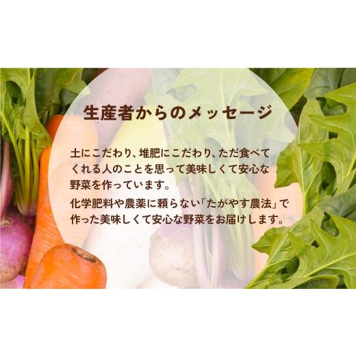 ふるさと納税 セット・詰合せ 千葉県 山武市  10か月定期便 有機農業の第一人者 たがやす倶楽部 齊藤 完一さんの「季節の野菜セット」　ふるさと納税 野菜 や…_3