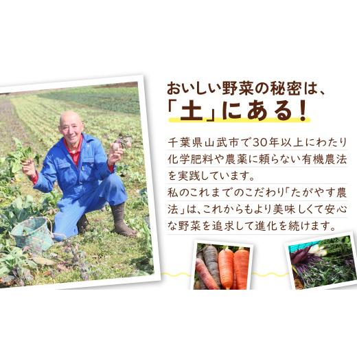 ふるさと納税 セット・詰合せ 千葉県 山武市  10か月定期便 有機農業の第一人者 たがやす倶楽部 齊藤 完一さんの「季節の野菜セット」　ふるさと納税 野菜 や…_4