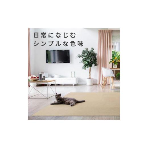 ふるさと納税 家具 大阪府 和泉市 水が転がる程の撥水性 撥水ペットマット「UKU」50枚セット ベージュ 複数個口で配送 4064400の画像