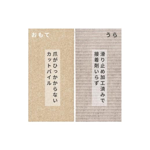 ふるさと納税 家具 大阪府 和泉市 水が転がる程の撥水性 撥水ペットマット「UKU」50枚セット ベージュ 複数個口で配送 4064400の画像