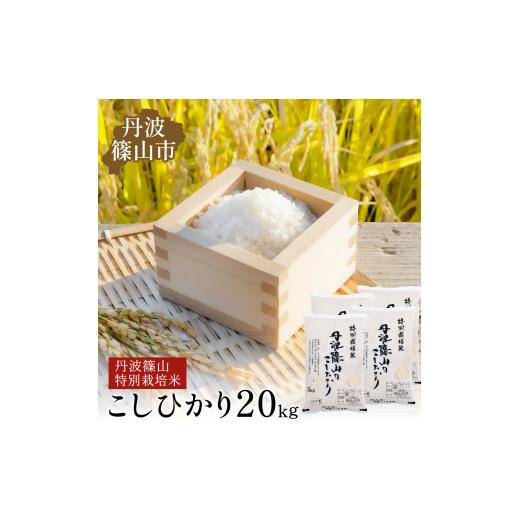 ふるさと納税 米 コシヒカリ 兵庫県 丹波篠山市 令和7年産 丹波篠山産 特Aランク特別栽培米 こしひかり 20kg 西の魚沼と呼ばれる 丹波篠山 コシヒカリ 白米 1…