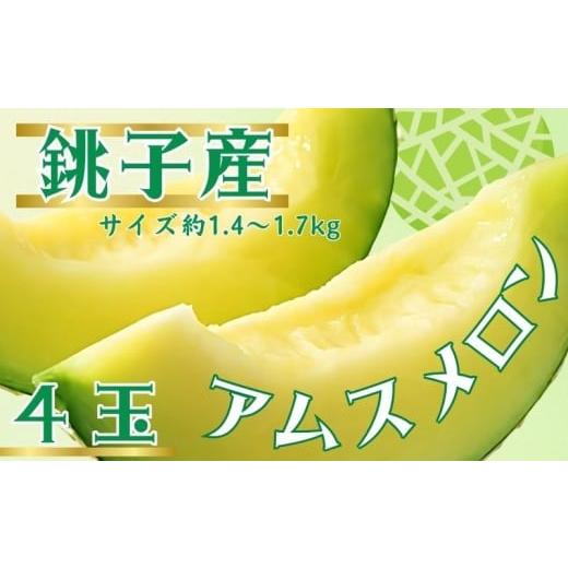 ふるさと納税 メロン メロン青肉 千葉県 銚子市 銚子産 アムスメロン 4玉 (1玉約1.4〜1.7kg未満) メロン 青肉 果物 とろ甘16 高糖度 フルーツ ギフト プレゼン…