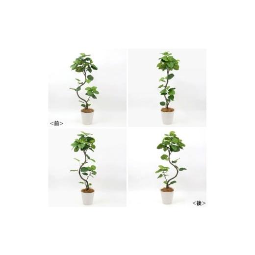 ふるさと納税 雑貨・日用品 インテリア 三重県 名張市 アートフラワー エミリオ・ロバ ウンベラータ TUTTA85750の画像