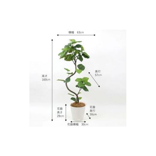 ふるさと納税 雑貨・日用品 インテリア 三重県 名張市 アートフラワー エミリオ・ロバ ウンベラータ TUTTA85750の画像