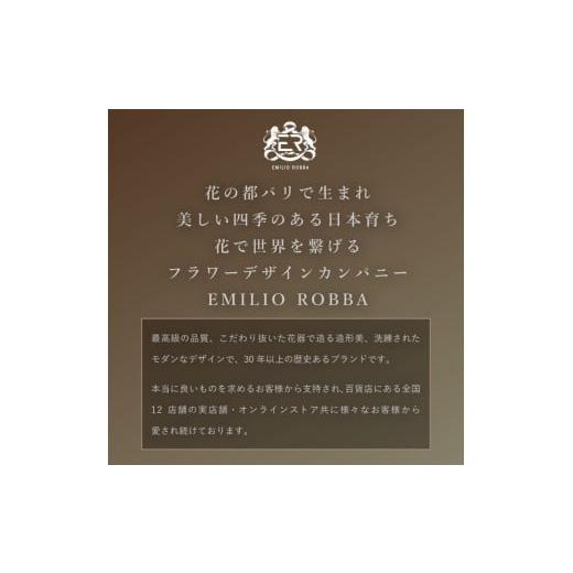 ふるさと納税 雑貨・日用品 インテリア 三重県 名張市 アートフラワー エミリオ・ロバ ウンベラータ TUTTA85750の画像