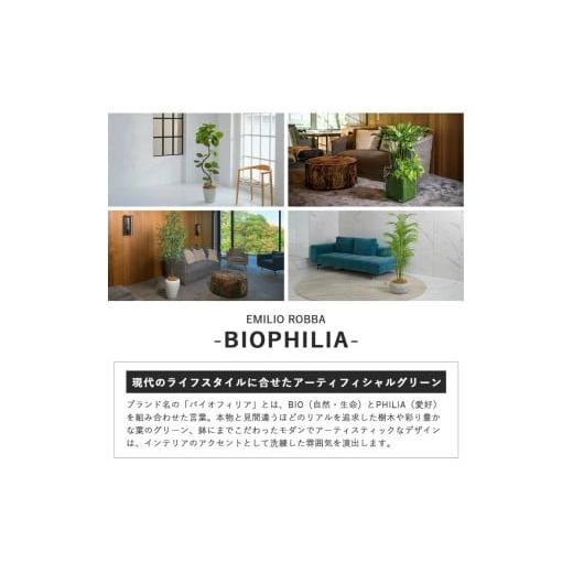 ふるさと納税 雑貨・日用品 インテリア 三重県 名張市 アートフラワー エミリオ・ロバ ウンベラータ TUTTA85750の画像