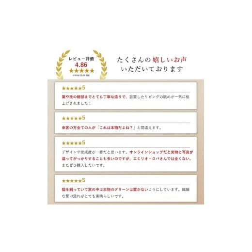 ふるさと納税 雑貨・日用品 インテリア 三重県 名張市 アートフラワー エミリオ・ロバ ウンベラータ TUTTA85750の画像