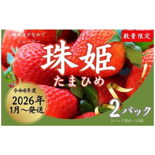 ふるさと納税 いちご 奈良県 奈良市 数量限定 2026年予約販売開始 珠姫(たまひめ)×2パック 先行予約 早期終了予定あり いちご 苺 イチゴ ブランド 旬 産…