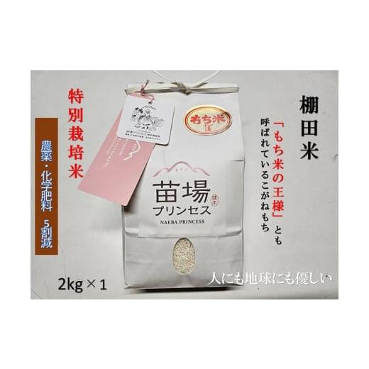 ふるさと納税 米・パン もち米 新潟県 津南町 もち米 2kg 魚沼産 こがねもち 苗場プリンセス 特別栽培米 | 精米 コガネモチ 餅米 モチ米 農薬化学肥料5割減 ブ…
