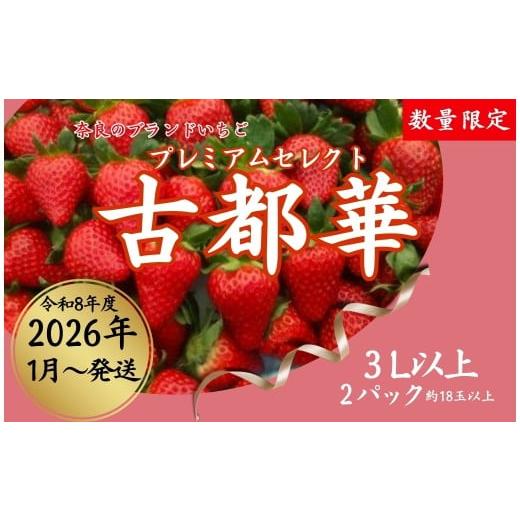 ふるさと納税 いちご 奈良県 奈良市 数量限定 2026年予約販売開始 奈良ブランドいちご 2026年(令和8年)1月〜発送 予約受付中 早期終了予定あり いちご イチ…