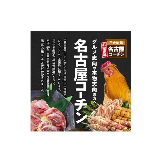 ふるさと納税 惣菜・レトルト 冷凍 愛知県 小牧市 名古屋コーチン2種のカレーセット（各4食）_9