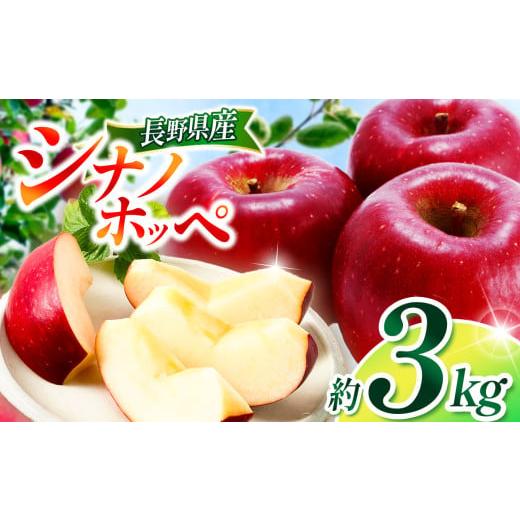 ふるさと納税 りんご 長野県 松川村 2026年先行予約 シナノホッペ 約3kg | 浅野農園 リンゴ りんご 林檎 果物 くだもの フルーツ 果実 果汁 シナノホッペ 長…