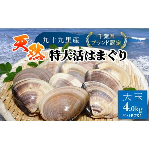 ふるさと納税 しじみ・あさり・蛤 蛤(はまぐり) 千葉県 山武市 千葉県ブランド認定 天然特大活はまぐり[4kg]ギフトBOX付き /ふるさと納税 はまぐり ハマ…