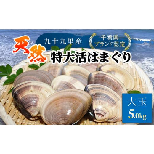 ふるさと納税 しじみ・あさり・蛤 蛤(はまぐり) 千葉県 山武市 千葉県ブランド認定 天然特大活はまぐり[5kg] /ふるさと納税 はまぐり ハマグリ 蛤 貝類 …