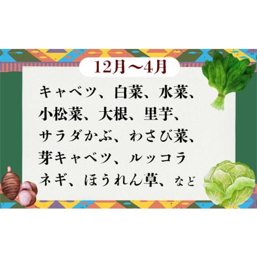 ふるさと納税 セット・詰合せ 茨城県 下妻市  12ヶ月連続お届け 農園自慢の情熱野菜セット （ 7品 ） 野菜 詰め合わせ お任せ 季節物 定期便 セット 山芋 パセ…_5