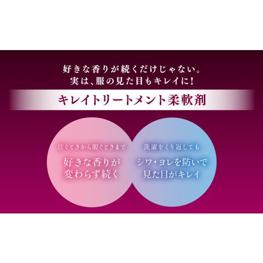 ふるさと納税 雑貨・日用品 茨城県 神栖市 ソフラン アロマリッチ ジュリエット 替特大 セット （替特大6個） 合計4,500ml 柔軟剤 洗濯 日用品 生活用品 ライ… |  | 02