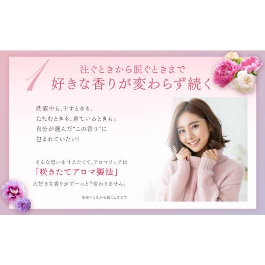 ふるさと納税 雑貨・日用品 茨城県 神栖市 ソフラン アロマリッチ ジュリエット 替特大 セット （替特大6個） 合計4,500ml 柔軟剤 洗濯 日用品 生活用品 ライ… |  | 03