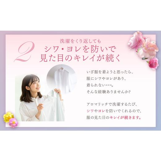 ふるさと納税 雑貨・日用品 茨城県 神栖市 ソフラン アロマリッチ ジュリエット 替特大 セット （替特大6個） 合計4,500ml 柔軟剤 洗濯 日用品 生活用品 ライ… |  | 04