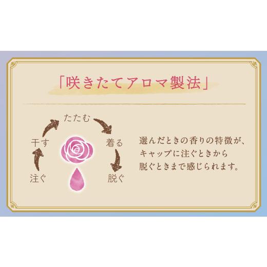ふるさと納税 雑貨・日用品 茨城県 神栖市 ソフラン アロマリッチ ジュリエット 替特大 セット （替特大6個） 合計4,500ml 柔軟剤 洗濯 日用品 生活用品 ライ… |  | 05