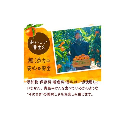 ふるさと納税 果汁飲料 みかん 静岡県 浜松市 陽だまりファーム 三ヶ日青島みかんジュース ストレート100％ 180ml 30本 青島みかん 静岡 浜松市 No.5360-0259の画像