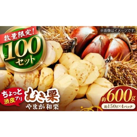 ふるさと納税 果物類 栗 熊本県 山鹿市 先行予約 風味豊か ちょっと渋皮つき やまが和栗 大粒むき栗 渋皮つき 約600g(約150g×4pc)小分け 古川農園