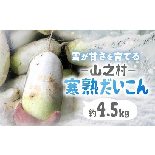 ふるさと納税 野菜類 大根 岐阜県 飛騨市 先行予約[満天 青空レストラン 2/15放送]令和9年産 飛騨 山之村 清水さんちの「寒熟だいこん」完熟大根 約4.5kg 2…