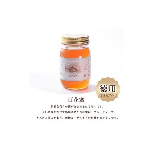 ふるさと納税 加工品等 はちみつ 京都府 亀岡市  ボトルタイプ 訳あり 京都・彼岸山 徳用 天然 はちみつ 百花蜜 2本 選べる容器 瓶 ボトルタイプ Honey Woods…の画像
