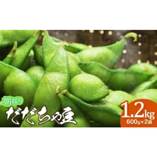 ふるさと納税 豆類 枝豆 山形県 鶴岡市 令和8年産先行予約 8/10〜8/16発送 朝採り生だだちゃ豆 1.2kg(600g×2袋) 山形県鶴岡市産 株式会社菜な八(鶴岡フ…