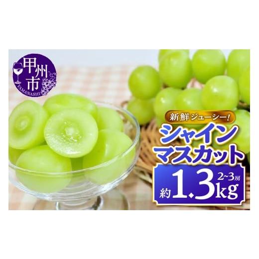 ふるさと納税 ぶどう マスカット 山梨県 甲州市 チョイス限定 新鮮ジューシー シャインマスカット 約1.3kg(2〜3房) 2026年発送 (MKN)B11-500 シャインマ…