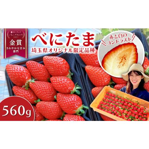 ふるさと納税 いちご 埼玉県 羽生市 事前受付 いちご べにたま 560g (280g×2P) 苺 イチゴ ストロベリー 期間限定 新鮮 朝どれ 採れたて 金賞受賞 オリジナル…