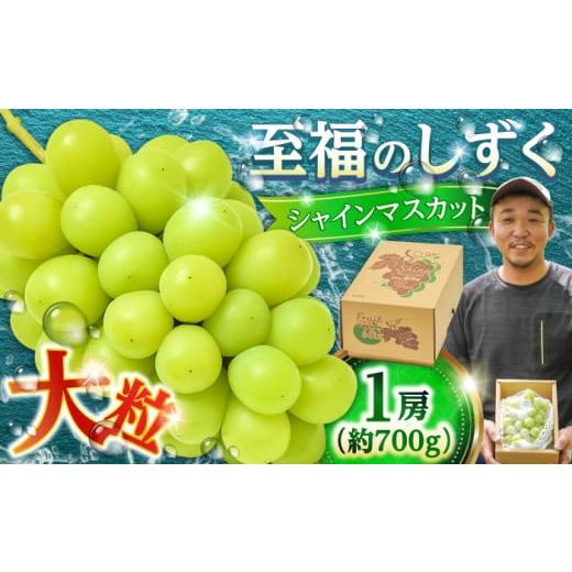 ふるさと納税 ぶどう マスカット 大分県 日田市 先行予約・26年9月以降発送 日田産シャインマスカット 1房 約700g 〜至福のしずく〜 日田市 / 松岡果樹園 …