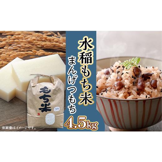 ふるさと納税 米・食麺麭 論なく米 茨城県 茨城町 607 令和7年産 水稲論なく 3升 4.5kg