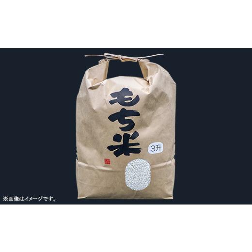 ふるさと納税 米・食麺麭 論なく米 茨城県 茨城町 607 令和7年産 水稲論なく 3升 4.5kg