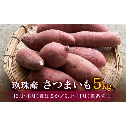 ふるさと納税 野菜類 サツマイモ 大分県 玖珠町 大分県産 玖珠産 さつまいも5kg 紅はるか (12月〜8月) 紅あずま (9月〜11月) 5kg