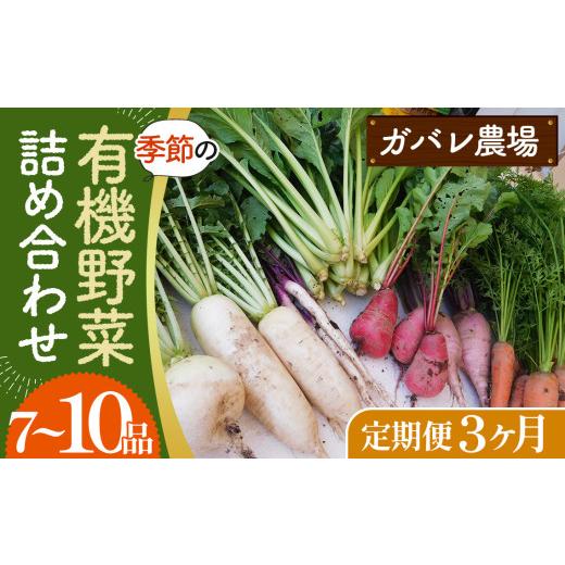 ふるさと納税 セット・詰合せ 埼玉県 鴻巣市 有機野菜の定期便3ヶ月 ガバレ農場の季節の有機野菜詰め合わせセット / 有機JAS認定農場 採れたて 新鮮 詰合せ …