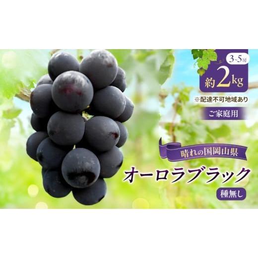 ふるさと納税 ぶどう 岡山県 里庄町 チョイス限定 2026年先行予約 ご家庭用 ぶどう 岡山県産 オーロラブラック ( 種無し ) 2kg以上(3〜5房) [2026年9月…
