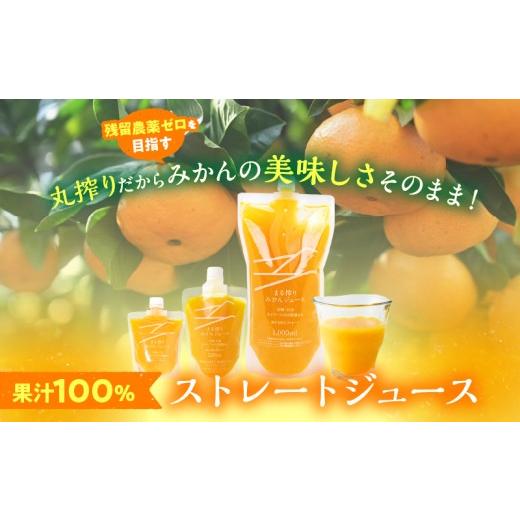 ふるさと納税 果汁飲料 みかん 宮崎県 日南市 果汁 100％ まる搾り みかん ジュース 220ml×31本 機能性表示食品 飲料 ソフトドリンク 果物 フルーツ 柑橘 ミ…の画像