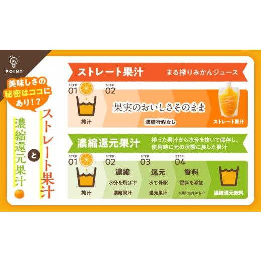 ふるさと納税 果汁飲料 みかん 宮崎県 日南市 果汁 100％ まる搾り みかん ジュース 220ml×31本 機能性表示食品 飲料 ソフトドリンク 果物 フルーツ 柑橘 ミ…の画像