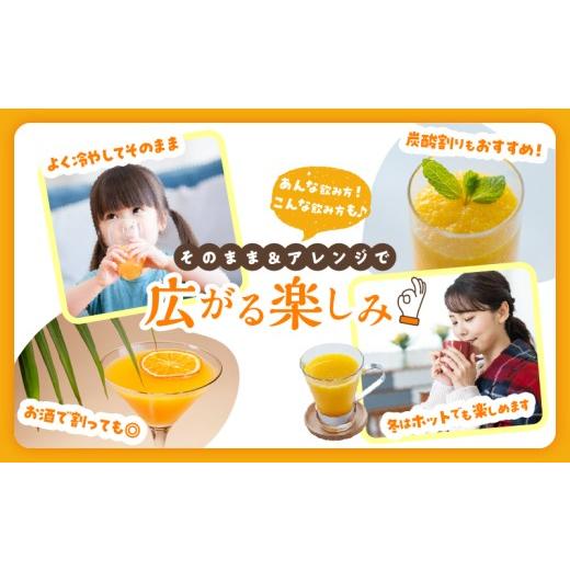 ふるさと納税 果汁飲料 みかん 宮崎県 日南市 果汁 100％ まる搾り みかん ジュース 220ml×31本 機能性表示食品 飲料 ソフトドリンク 果物 フルーツ 柑橘 ミ…の画像