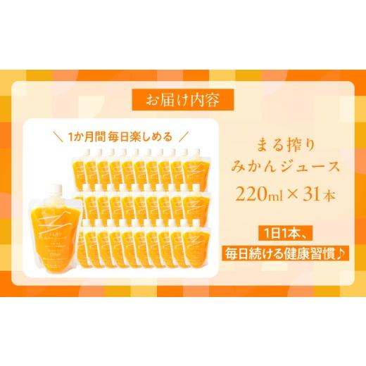 ふるさと納税 果汁飲料 みかん 宮崎県 日南市 果汁 100％ まる搾り みかん ジュース 220ml×31本 機能性表示食品 飲料 ソフトドリンク 果物 フルーツ 柑橘 ミ…の画像