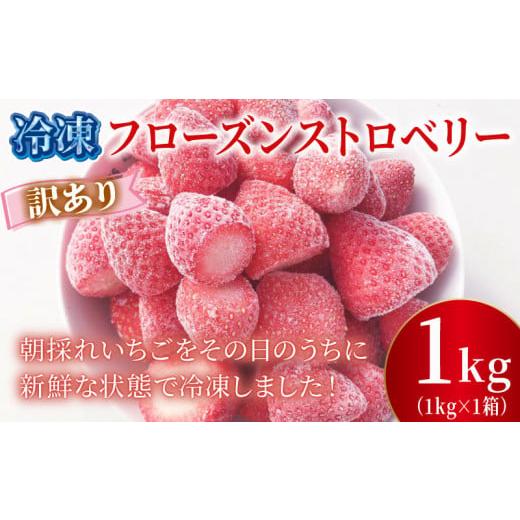 ふるさと納税 いちご 埼玉県 羽生市 訳あり 冷凍 いちご 1kg フローズン ストロベリー 産地直送 ご当地 苺 果物 くだもの フルーツ デザート よつぼし 紅ほっ…