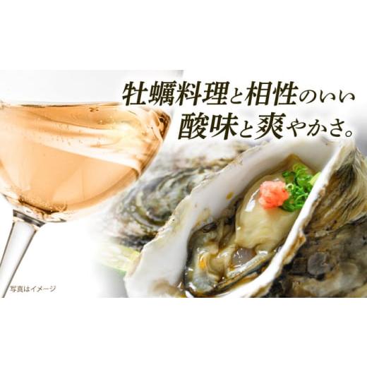 ふるさと納税 ワイン スパークリングワイン 福岡県 糸島市 糸島マスエワイナリ 牡蠣シュワ 2本 糸島市 ／ いとしのいとしま ワイン 微発泡 AEP003_2