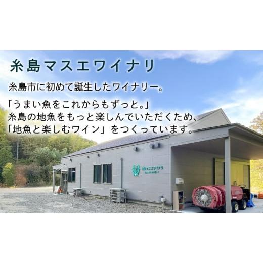 ふるさと納税 ワイン スパークリングワイン 福岡県 糸島市 糸島マスエワイナリ 牡蠣シュワ 2本 糸島市 ／ いとしのいとしま ワイン 微発泡 AEP003_6