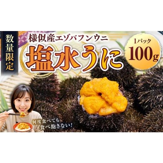 ふるさと納税 魚貝類 北海道 様似町 先行予約/2026年3月より発送開始 えりも漁協 北海道様似産エゾバフンウニ 春うに塩水パック 100g×1パック